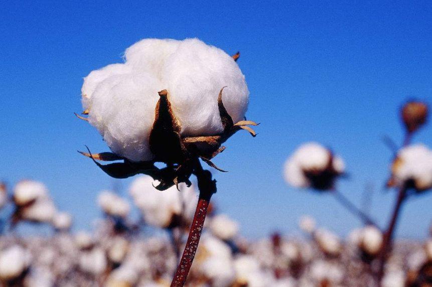 現(xiàn)已進入高質(zhì)量發(fā)展階段的尼龍PA6行業(yè)