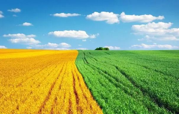 尼龍管PA66材料在機械以及農(nóng)業(yè)方面的應(yīng)用